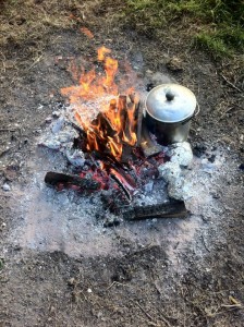 fire 2
