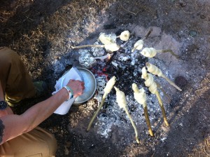 fire